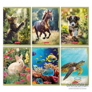 Herlitz Zeszyt A5 Animals 16k. 70g krata kolorowa Herlitz (400196855)