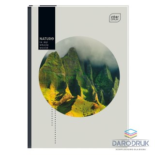 Interdruk Brulion A5 160k. 70g linia Interdruk (BRA5160SZFL)