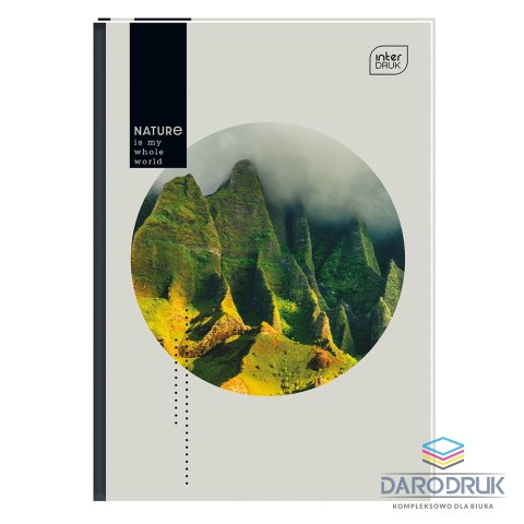 Interdruk Brulion A5 160k. 70g linia Interdruk (BRA5160SZFL)