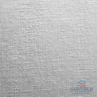 Protos Papier ozdobny (wizytówkowy) A4 biały 190g Protos