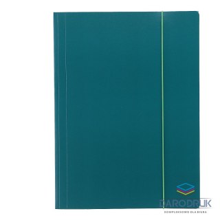 VauPe Teczka kartonowa na gumkę Eco A4 zielony 380g VauPe (319/06)