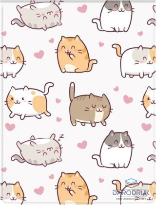 Biurfol Okładka na dokumenty Pionowa KITTENS Biurfol (OD-21-35)