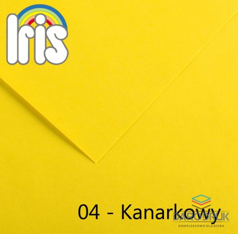 Canson Brystol Iris 04 B1 kanarkowy 240g 25k [mm:] 700x1000 Canson (200040443)