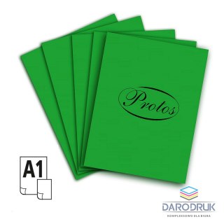 Protos Brystol A1 zielony 160-180g 20k [mm:] 610x860 Protos