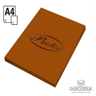 Protos Papier kolorowy A4 brązowy 50k. 160g Protos