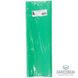 Bibuła gładka zielona gładka zielona 700mm x 500mm (23)