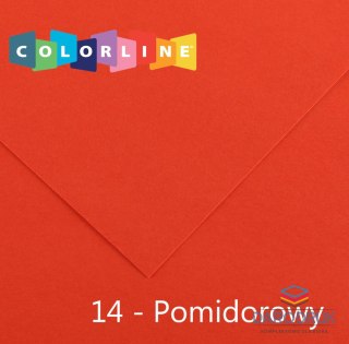 Canson Brystol Colorline 14 pomidorowy 150g 10k [mm:] 500x650 Canson (200041390)