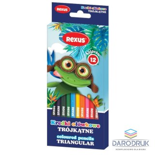 Rexus Kredki ołówkowe Rexus Teens trójkątne 12 kol. Rexus