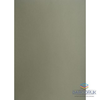 Creatinio Brystol A1 ciemnoszary 160g 25k [mm:] 610x860 Creatinio (400149524)