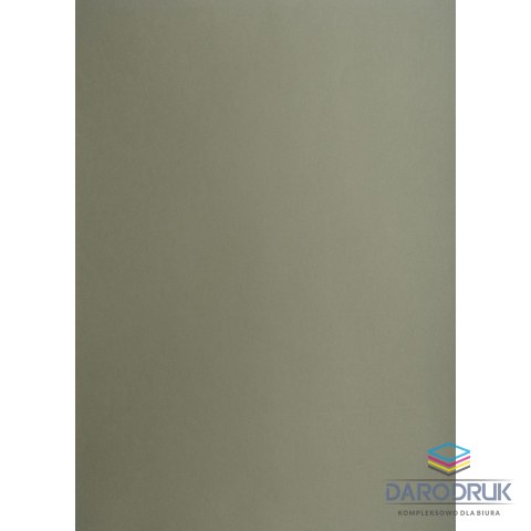 Creatinio Brystol A1 ciemnoszary 160g 25k [mm:] 610x860 Creatinio (400149524)
