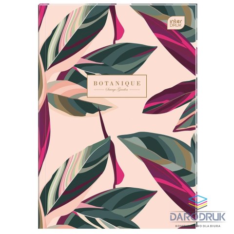 Interdruk Brulion B5 96k. krata Interdruk (BRB596P)