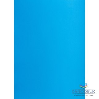 TOP-2000 Brystol A1 ciemnoniebieski 160g 25k [mm:] 610x860 TOP-2000 (400149566)