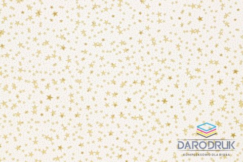 Torba prezentowa torebka BN folia [mm:] 400x500 (S13)