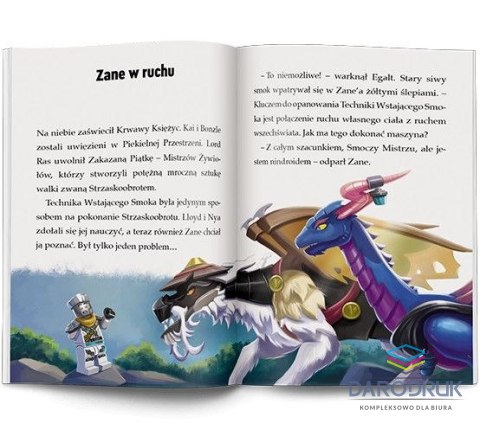 Ameet Książeczka edukacyjna LEGO® NINJAGO®. Moce i zdolności Ameet (LNR 6728)