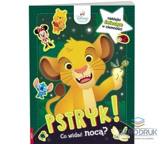 Ameet Książka dla dzieci Disney Maluch. Pstryk! Co widać nocą? Ameet (GLO - 9201)