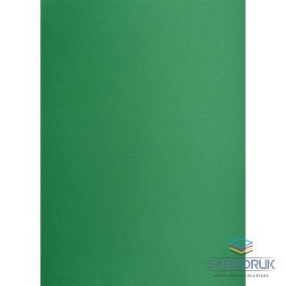 Creatinio Brystol zielony ciemny B1 zielony ciemny 225g 1k Creatinio (400150269)