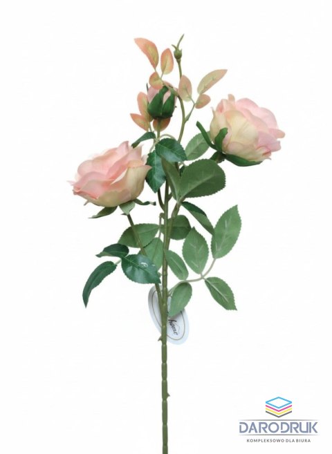 Home And Garden Kwiaty róża 3 szt. 67cm brzoskwiniowa Home And Garden (6720)