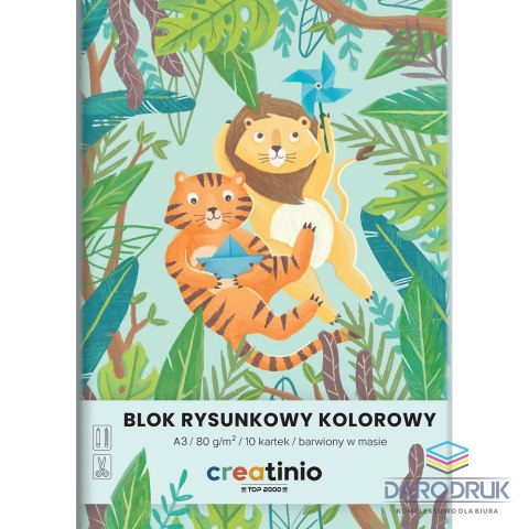 Top 2000 Blok rysunkowy Creatinio A3 kolorowy 80g 10k Top 2000 (400176666)