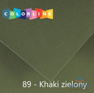 Canson Brystol Colorline 89 zielony 150g 10k [mm:] 500x650 Canson (400110146)