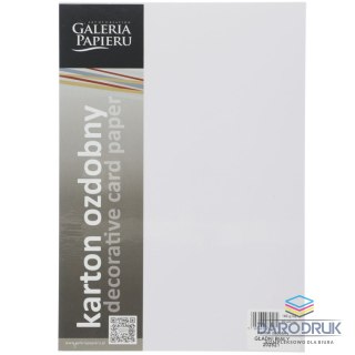 Galeria Papieru Papier ozdobny (wizytówkowy) A4 gładki biały biały 160g Galeria Papieru (202821)