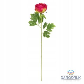 Home And Garden Kwiaty piwonia 60cm czerwona Home And Garden (1822)