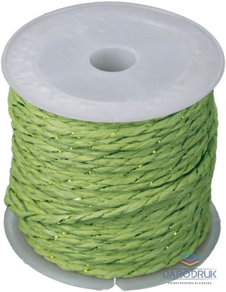 Titanum Sznurek Craft-Fun Series papierowy 10m Titanum (24BR0201-15（green))