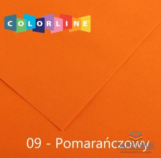 Canson Brystol Colorline 09 pomarańczowy 150g 10k [mm:] 500x650 Canson (31074S054)