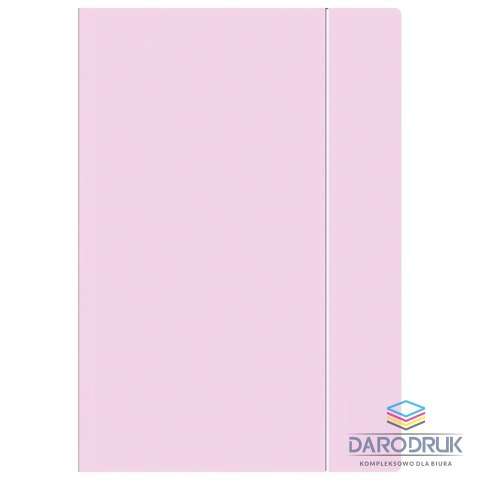 Interdruk Teczka kartonowa na gumkę pastel HOLOGRAM A4+ mix Interdruk