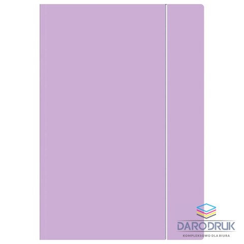 Interdruk Teczka kartonowa na gumkę pastel HOLOGRAM A4+ mix Interdruk
