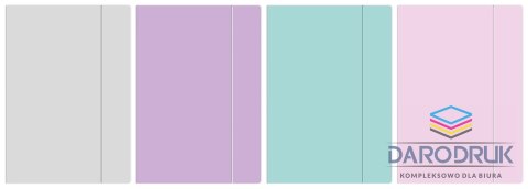 Interdruk Teczka kartonowa na gumkę pastel HOLOGRAM A4+ mix Interdruk