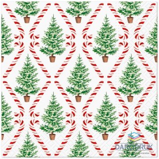 Paw Serwetki Lunch BN Candy Cane Forest mix nadruk papier Paw (SDL240900)